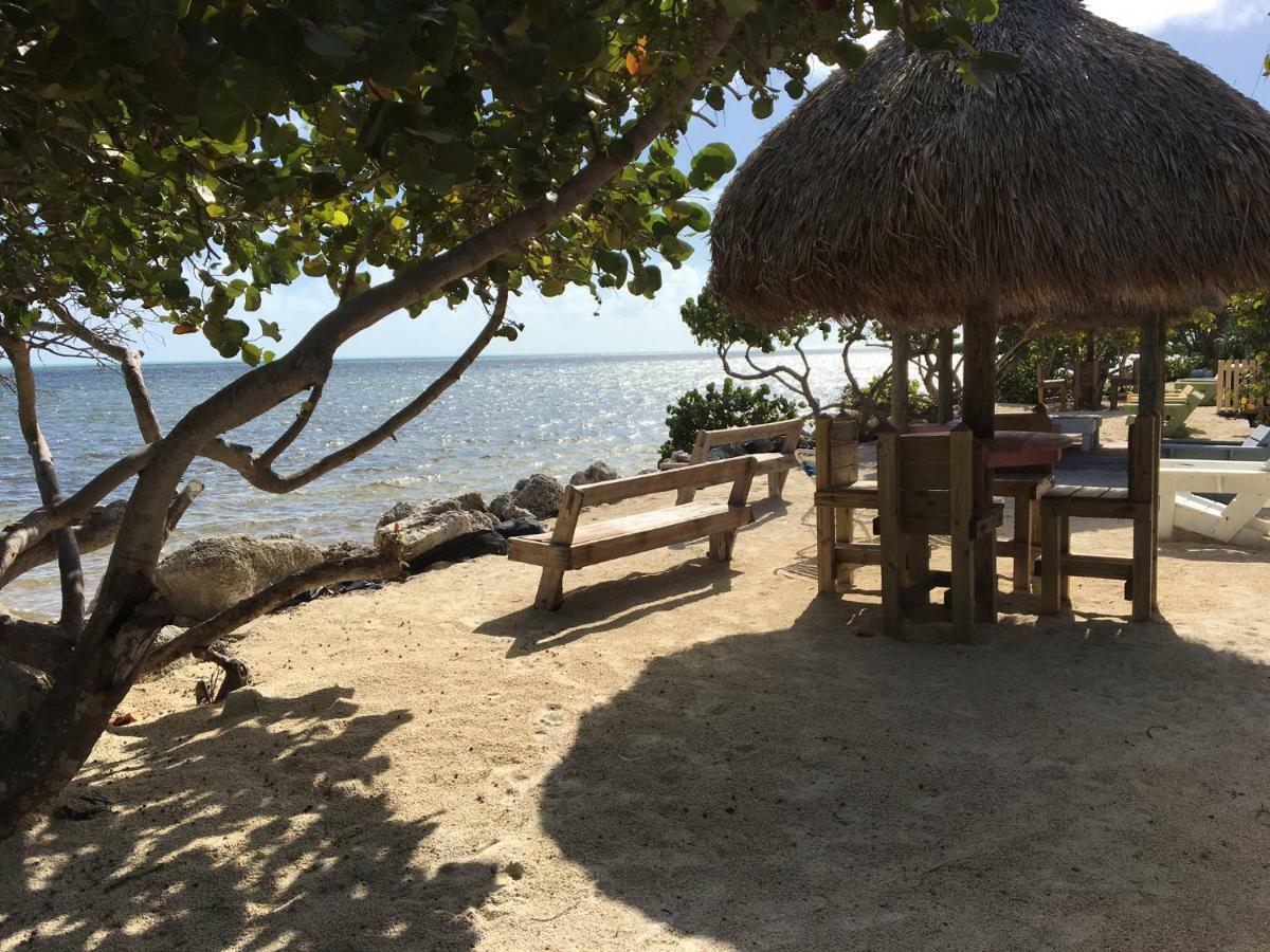 Licensed Mgr - Modern Oceanfront Condo! Beautiful Ocean Views! Beach Resort! 2 King Beds! Key Largo Exteriör bild