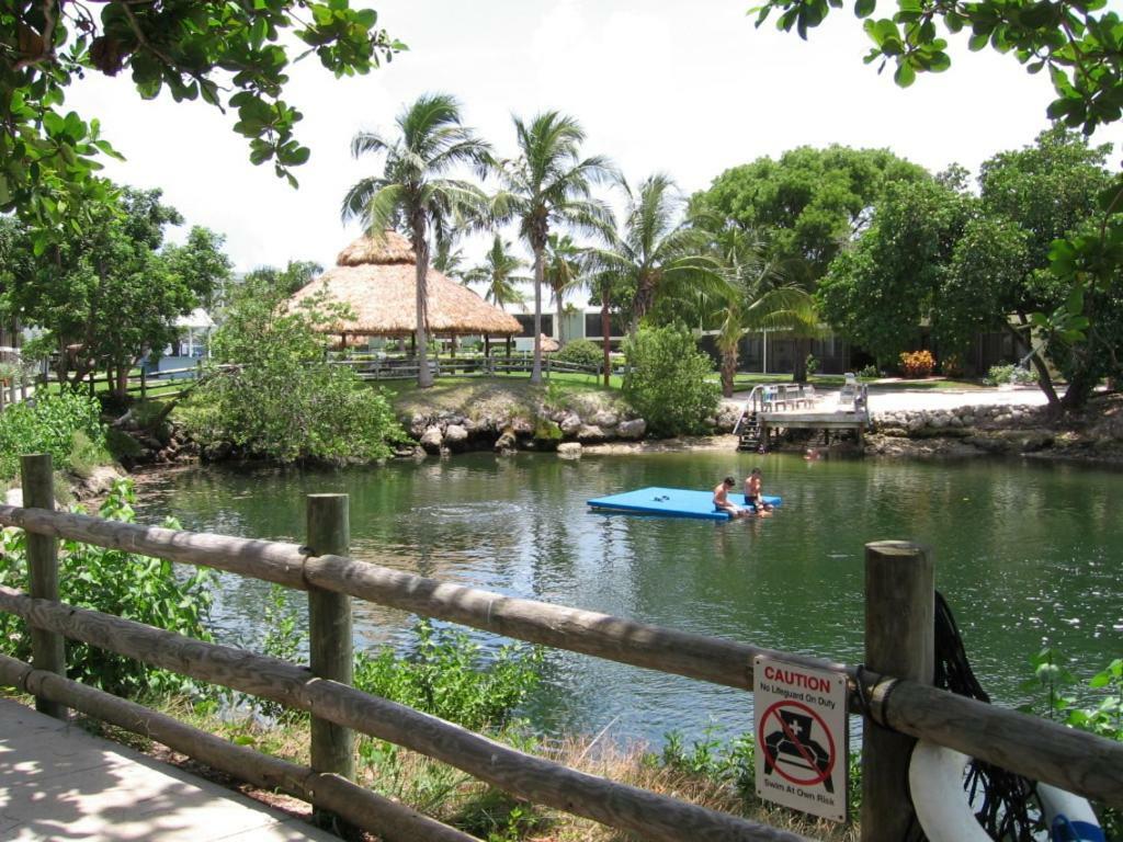Licensed Mgr - Modern Oceanfront Condo! Beautiful Ocean Views! Beach Resort! 2 King Beds! Key Largo Exteriör bild