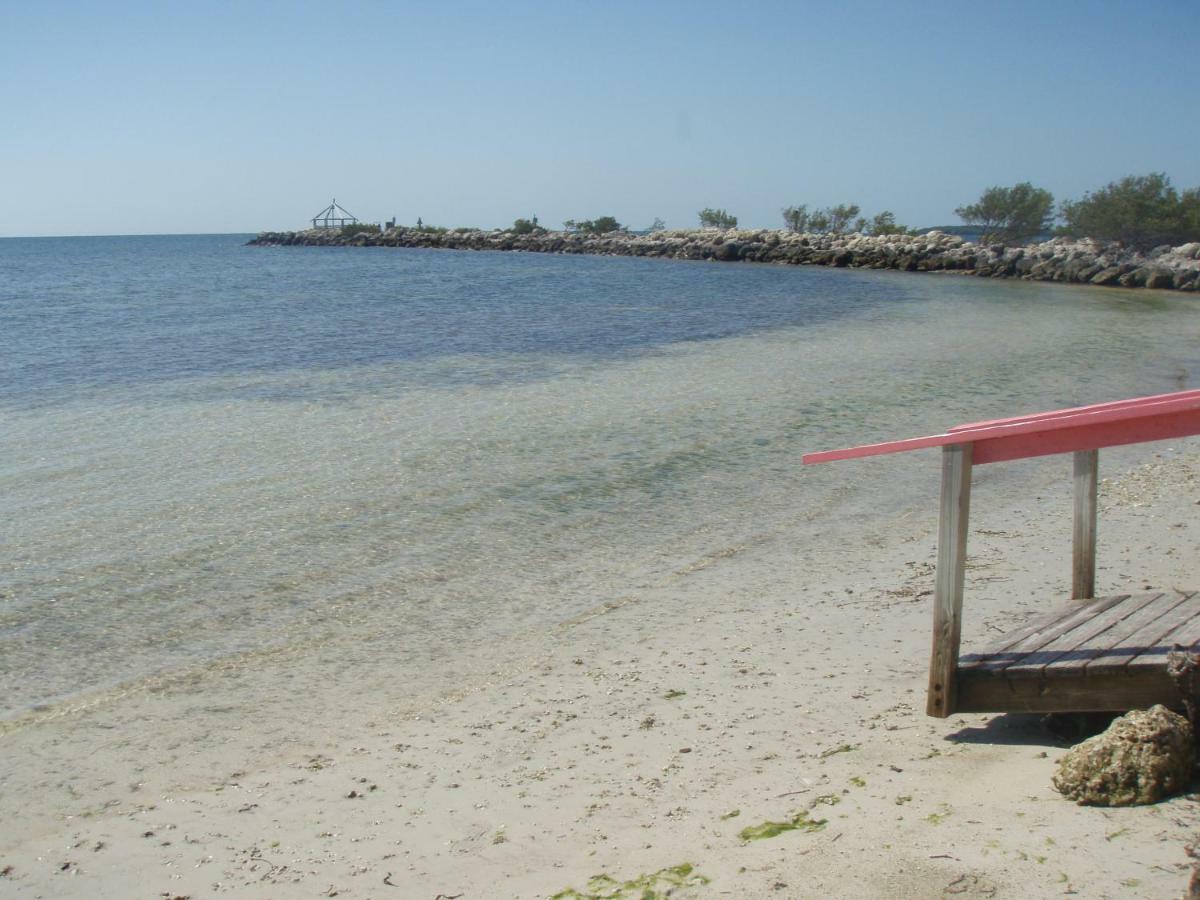 Licensed Mgr - Modern Oceanfront Condo! Beautiful Ocean Views! Beach Resort! 2 King Beds! Key Largo Exteriör bild