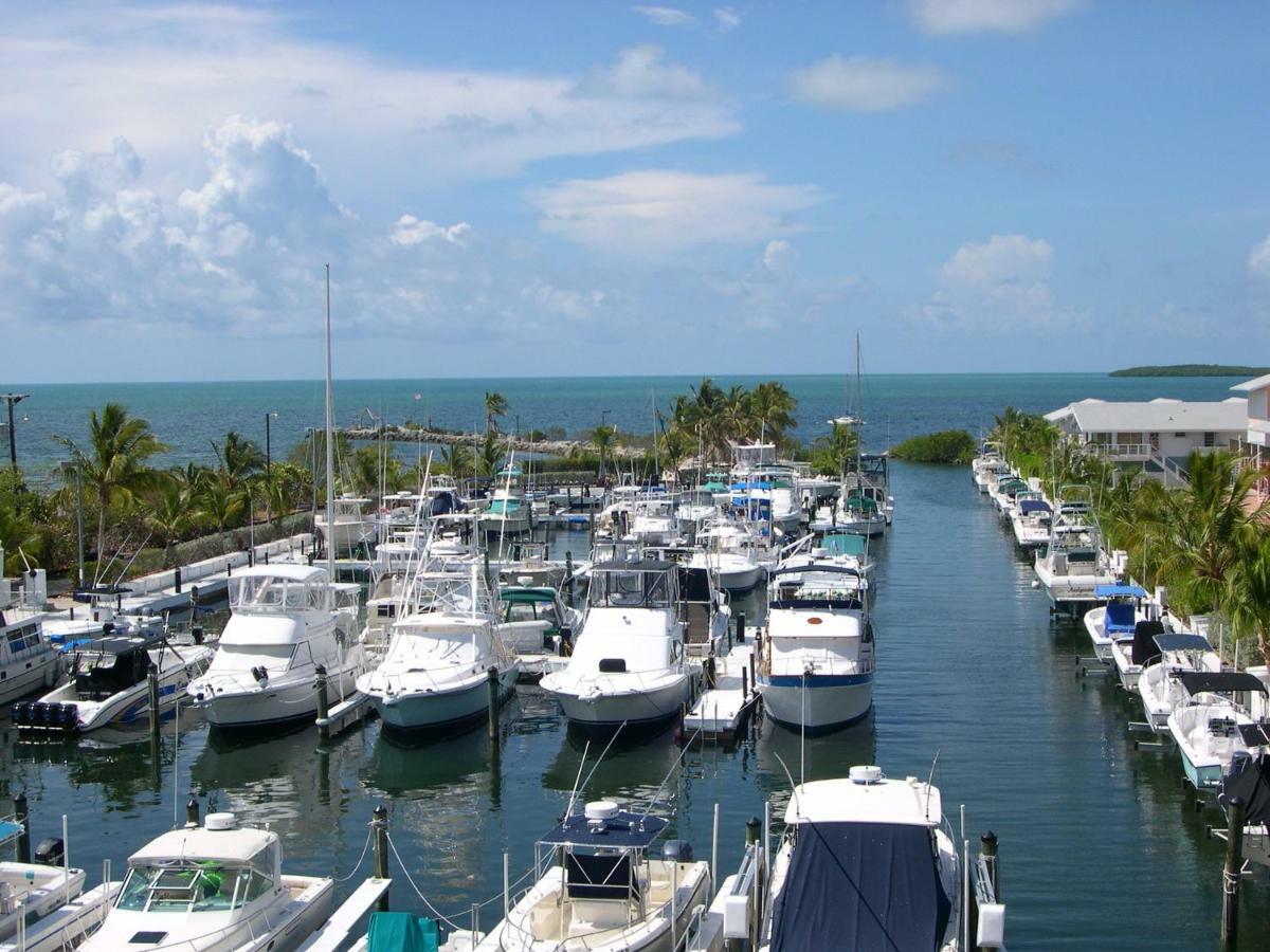 Licensed Mgr - Modern Oceanfront Condo! Beautiful Ocean Views! Beach Resort! 2 King Beds! Key Largo Exteriör bild